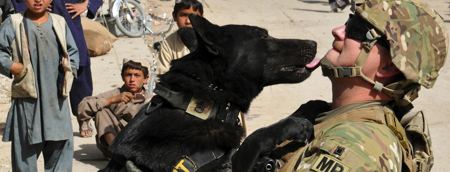 Photo Of Military Dogs - The SITREP Military Blog