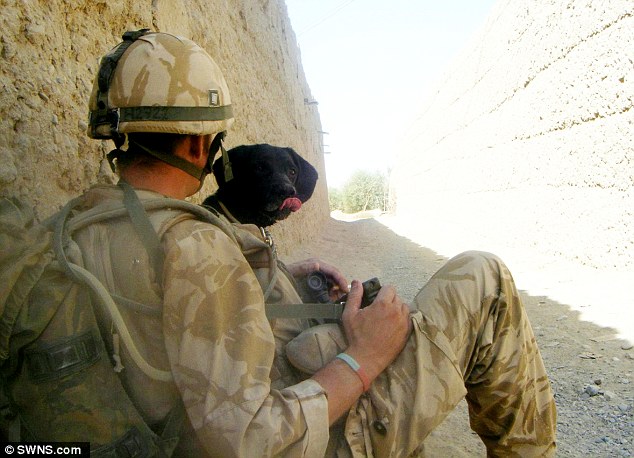 Military Dog Afghanistan Image - The SITREP Military Blog