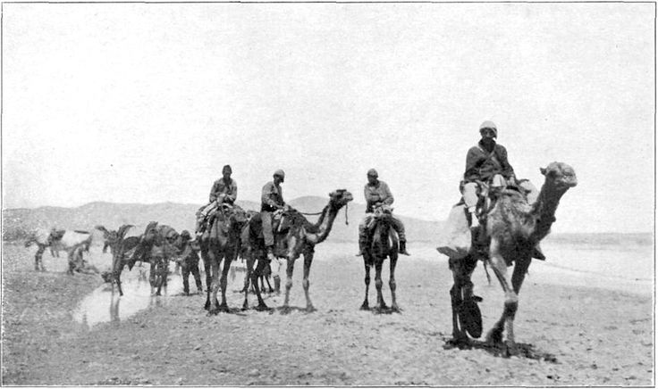 US Camel Corps Image - The SITREP Military Blog
