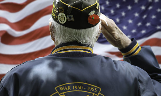 Veterans Day salute